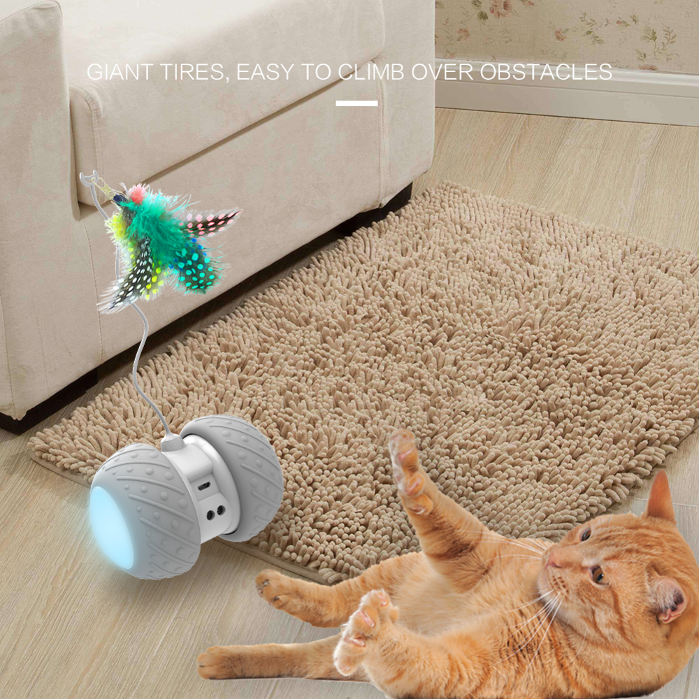 Feather Decorated Interactive Cat Toy Cat Toys Cats & Dogs cb5feb1b7314637725a2e7: cat toy