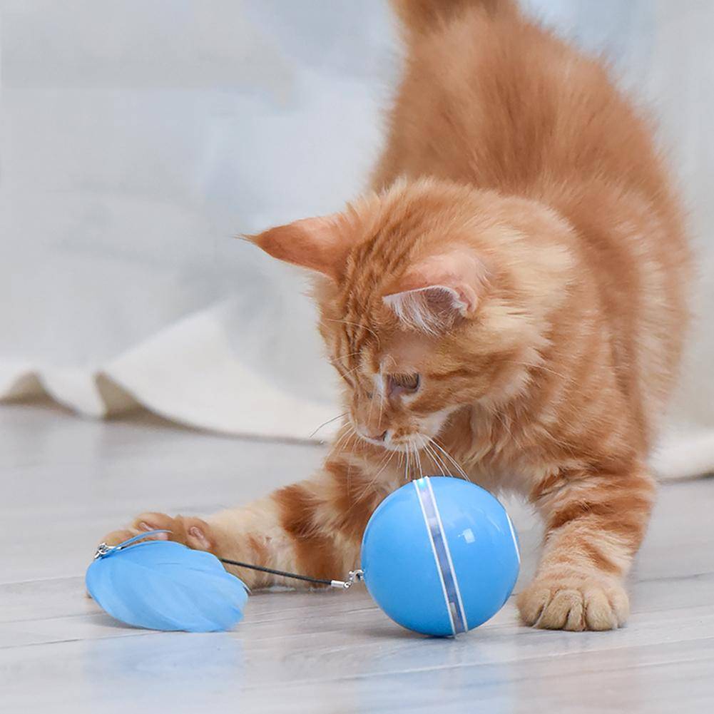 Smart Electric Pet Toys