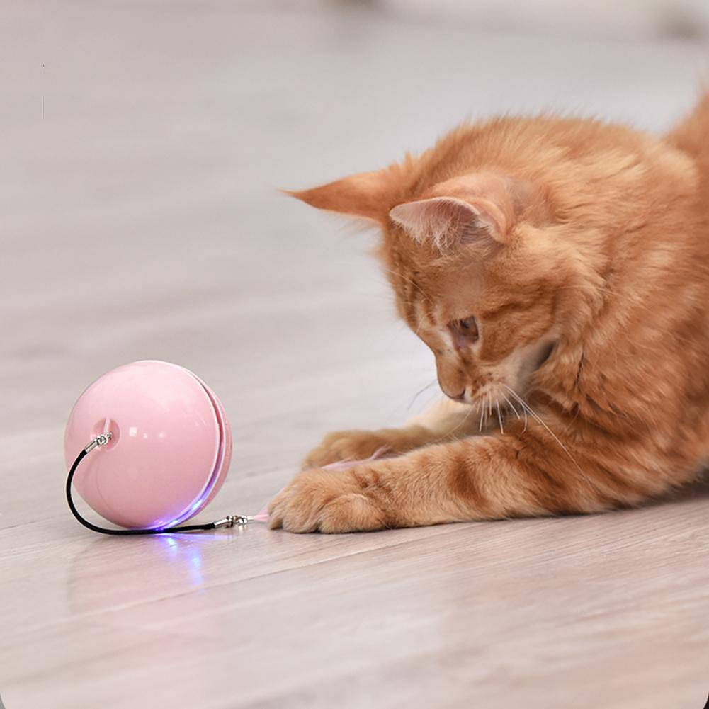 Smart Electric Pet Toys Cat Toys Cats & Dogs cb5feb1b7314637725a2e7: Blue|Gray|Pink|White