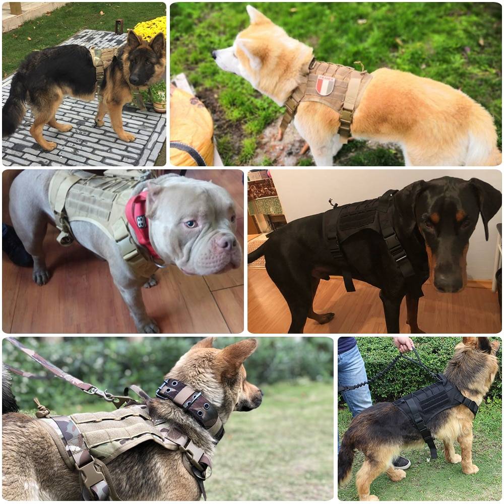 Dog Harness and Leash Set With Nylon Handle Cats & Dogs Pet Collars, Harnesses & Leashes a1fa27779242b4902f7ae3: Black Harness|Black Harness and Leash|Brown Harness|Brown Harness and Leash|Camouflage Harness|Camouflage Harness and Leash|Ranger Green Harness|Ranger Green Harness and Leash