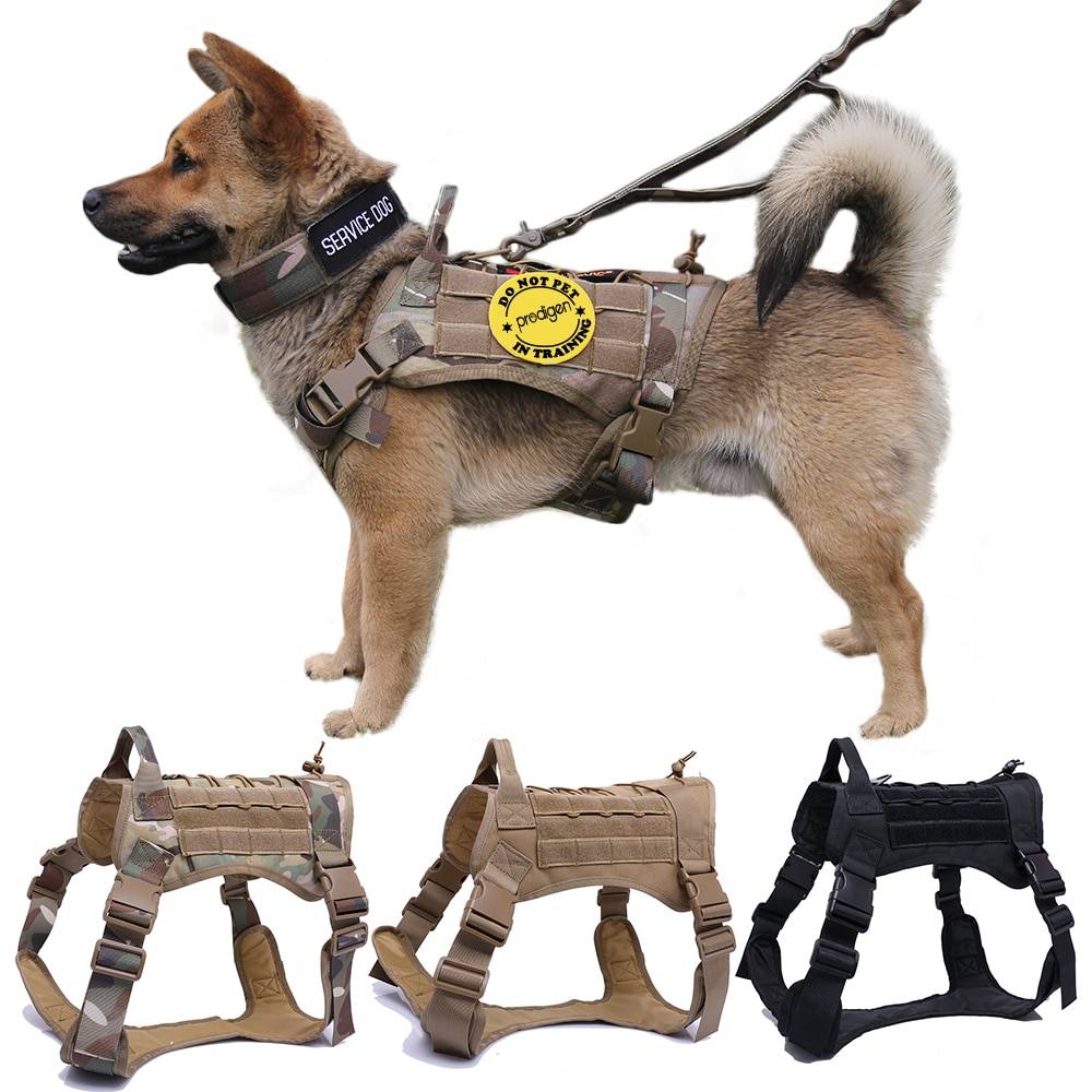 Dog Harness and Leash Set With Nylon Handle Cats & Dogs Pet Collars, Harnesses & Leashes a1fa27779242b4902f7ae3: Black Harness|Black Harness and Leash|Brown Harness|Brown Harness and Leash|Camouflage Harness|Camouflage Harness and Leash|Ranger Green Harness|Ranger Green Harness and Leash