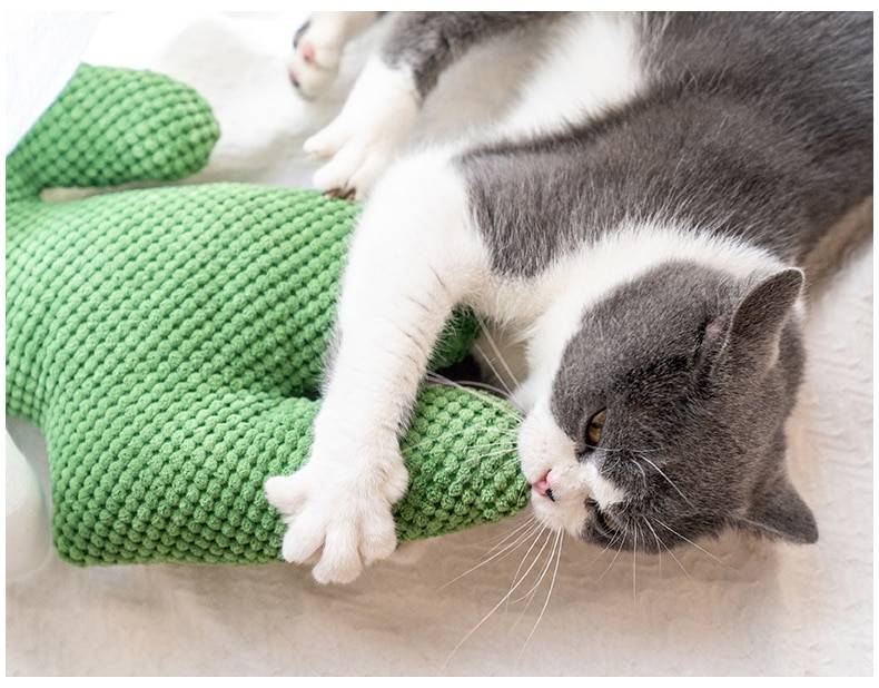 Cactus Catnip Cat  Plush Toy