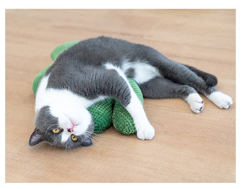 Cactus Catnip Cat  Plush Toy