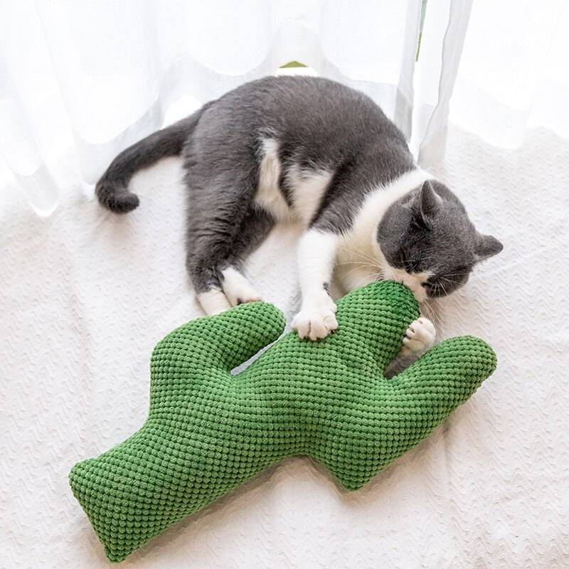 Cactus Catnip Cat Plush Toy Cat Toys Cats & Dogs a1fa27779242b4902f7ae3: 1|2|3|4|5|6|7|8|9