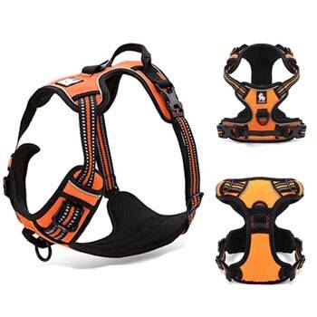 Dog's Reflective Nylon Harness