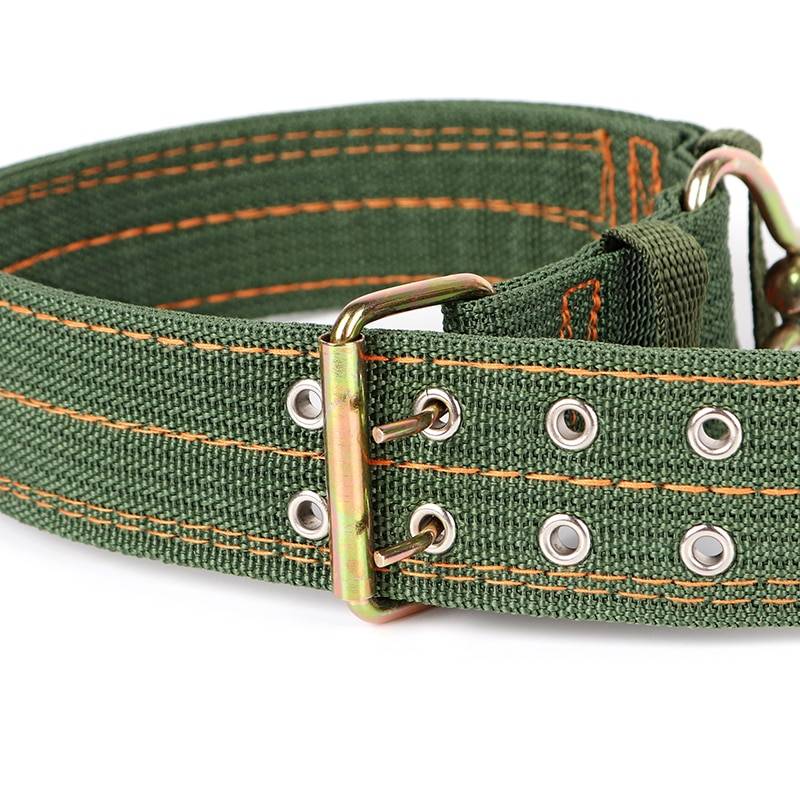 Cute Solid Army Green Canvas Dog's Collar Cats & Dogs Pet Collars, Harnesses & Leashes cb5feb1b7314637725a2e7: Black|Blue|D Buckle|Red