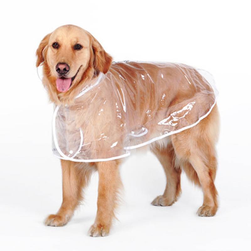 Transparent Autumn Dog Raincoat Cats & Dogs Dog Clothing cb5feb1b7314637725a2e7: Orange|White