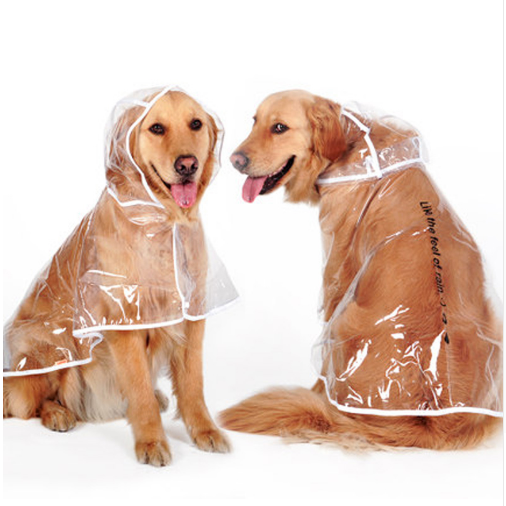 Transparent Autumn Dog Raincoat Cats & Dogs Dog Clothing cb5feb1b7314637725a2e7: Orange|White