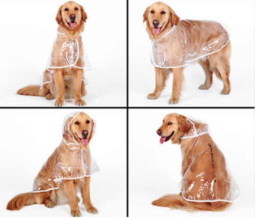 Transparent Autumn Dog Raincoat Cats & Dogs Dog Clothing cb5feb1b7314637725a2e7: Orange|White