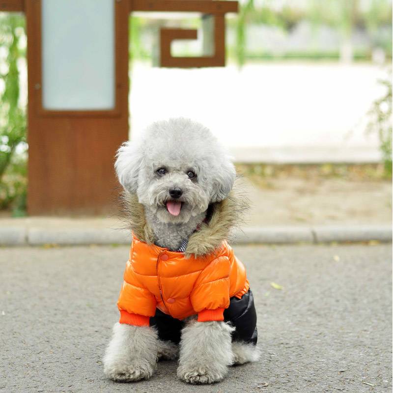 Super Warm Winter Dog's Jacket Cats & Dogs Dog Clothing cb5feb1b7314637725a2e7: Blue|Grey|New Blue|Orange|Pink|Red|Red Blue|Yellow