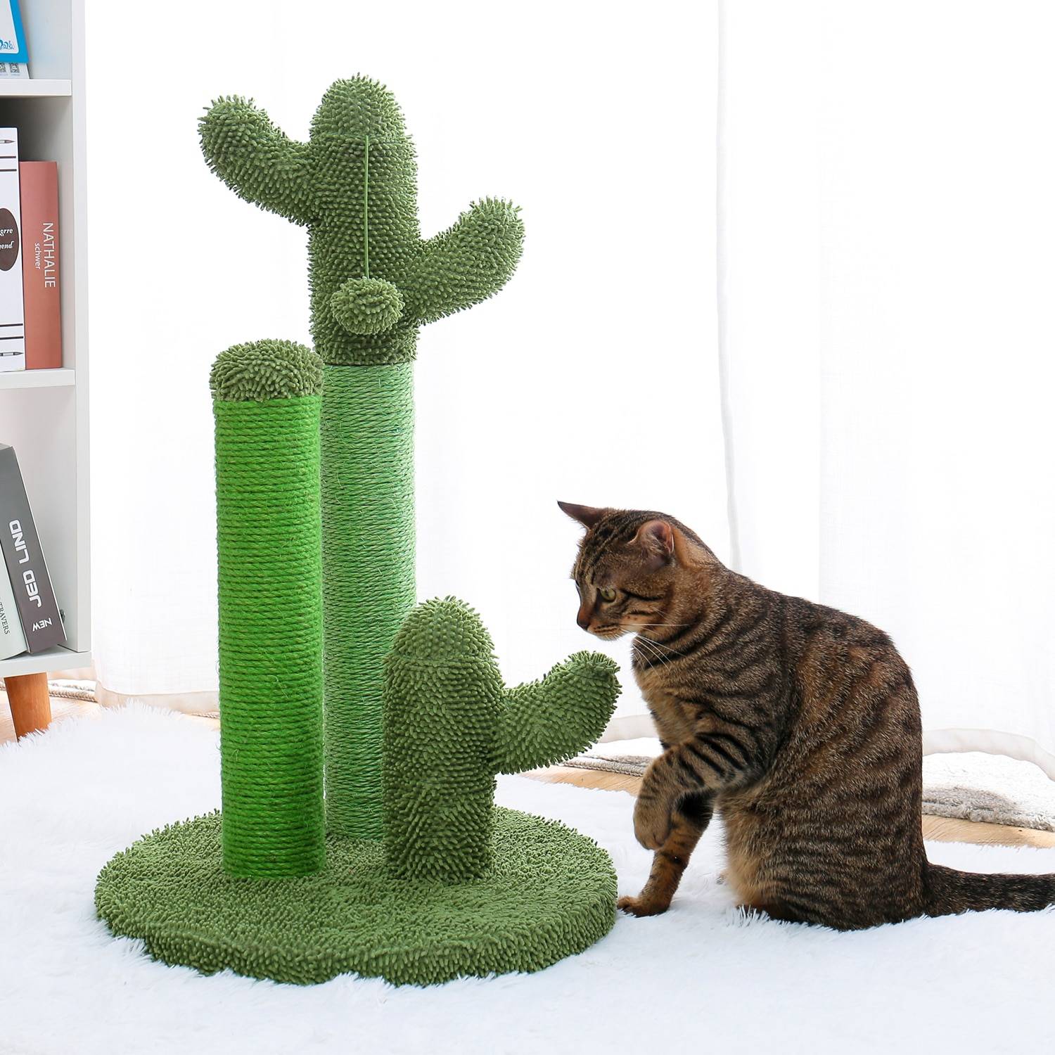 Cactus Shaped Cat Scratching Post Cat Scratchers Cats & Dogs a1fa27779242b4902f7ae3: 1|2|3