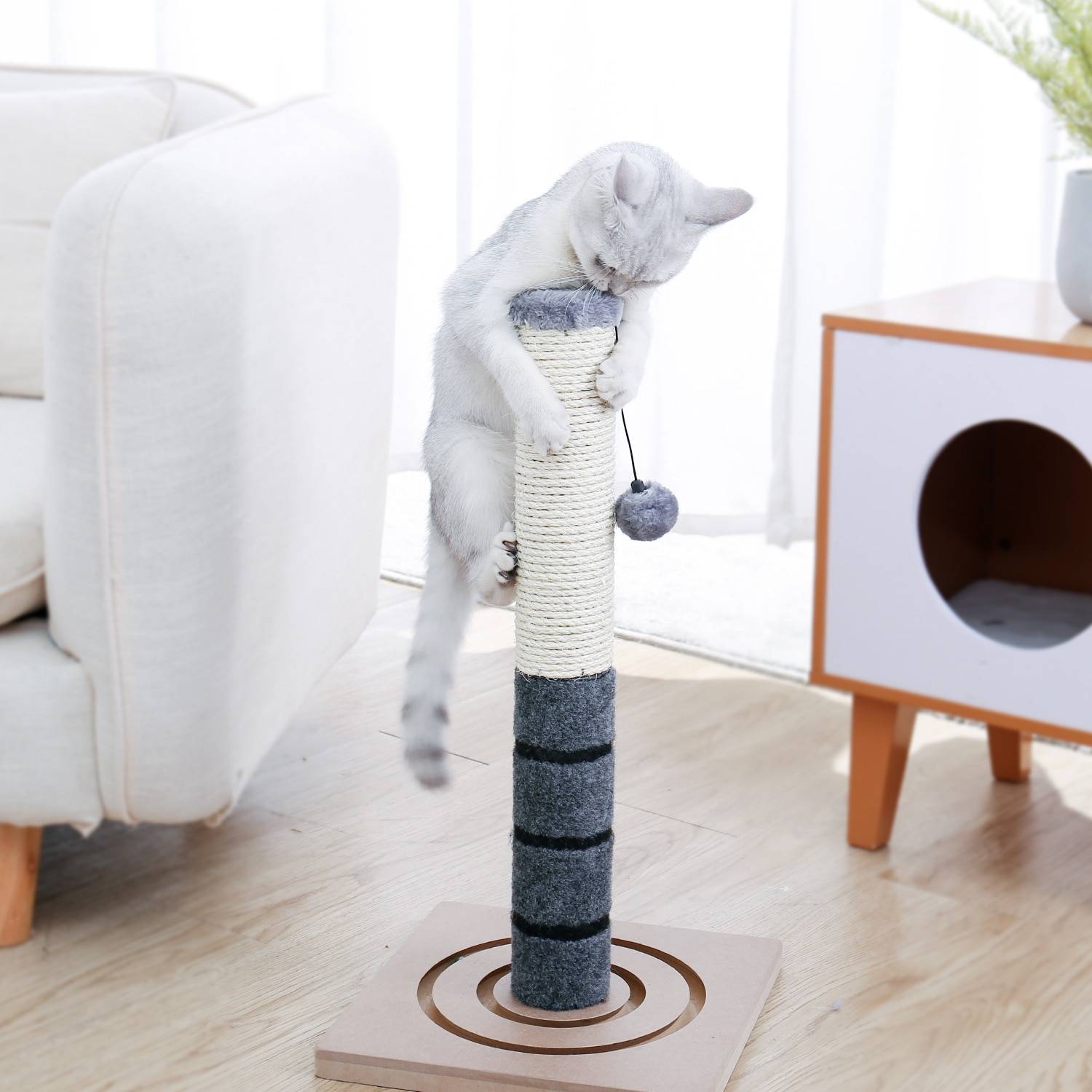 Tall Cat Scratching Post Cat Scratchers Cats & Dogs cb5feb1b7314637725a2e7: Blue