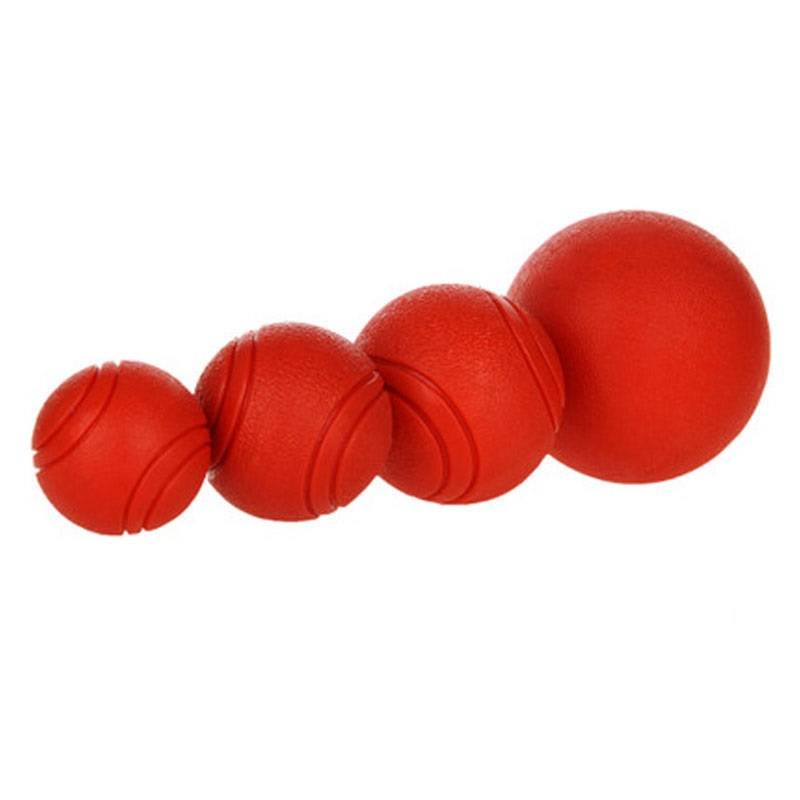 Bite-Resistant Rubber Dog's Ball Cats & Dogs Dog Toys a1fa27779242b4902f7ae3: As picture|L|M|S|XL