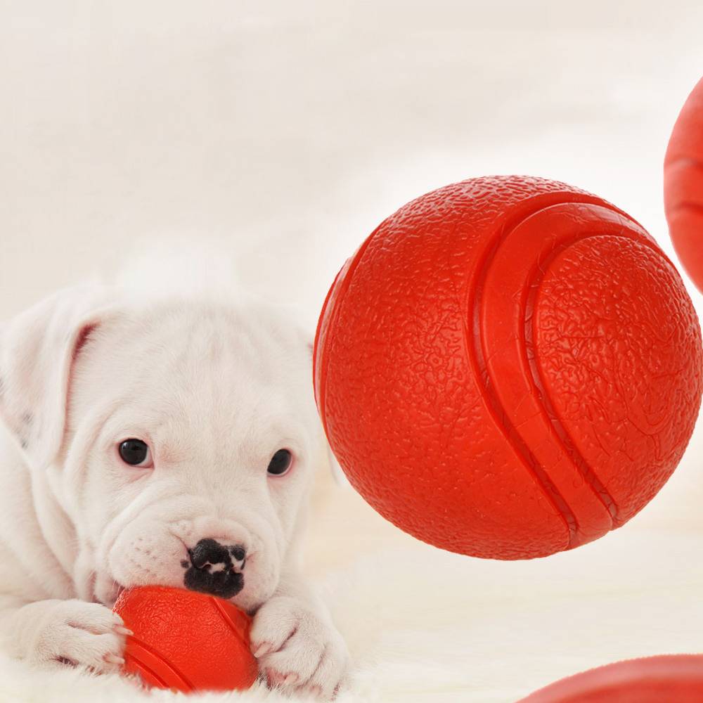 Bite-Resistant Rubber Dog's Ball Cats & Dogs Dog Toys a1fa27779242b4902f7ae3: As picture|L|M|S|XL