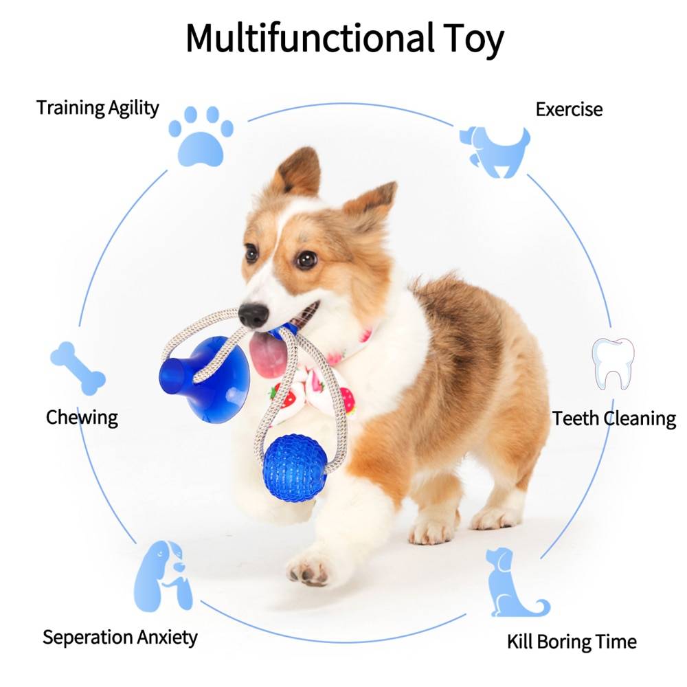 Multifunctional Cleaning Teeth Toy Cats & Dogs Dog Toys cb5feb1b7314637725a2e7: Blue|Green|Rose