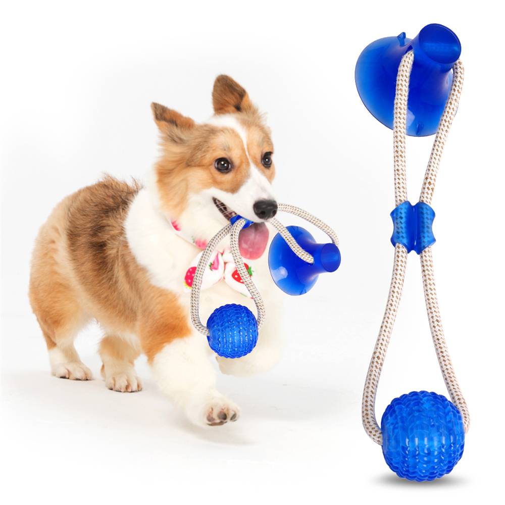 Multifunctional Cleaning Teeth Toy Cats & Dogs Dog Toys cb5feb1b7314637725a2e7: Blue|Green|Rose