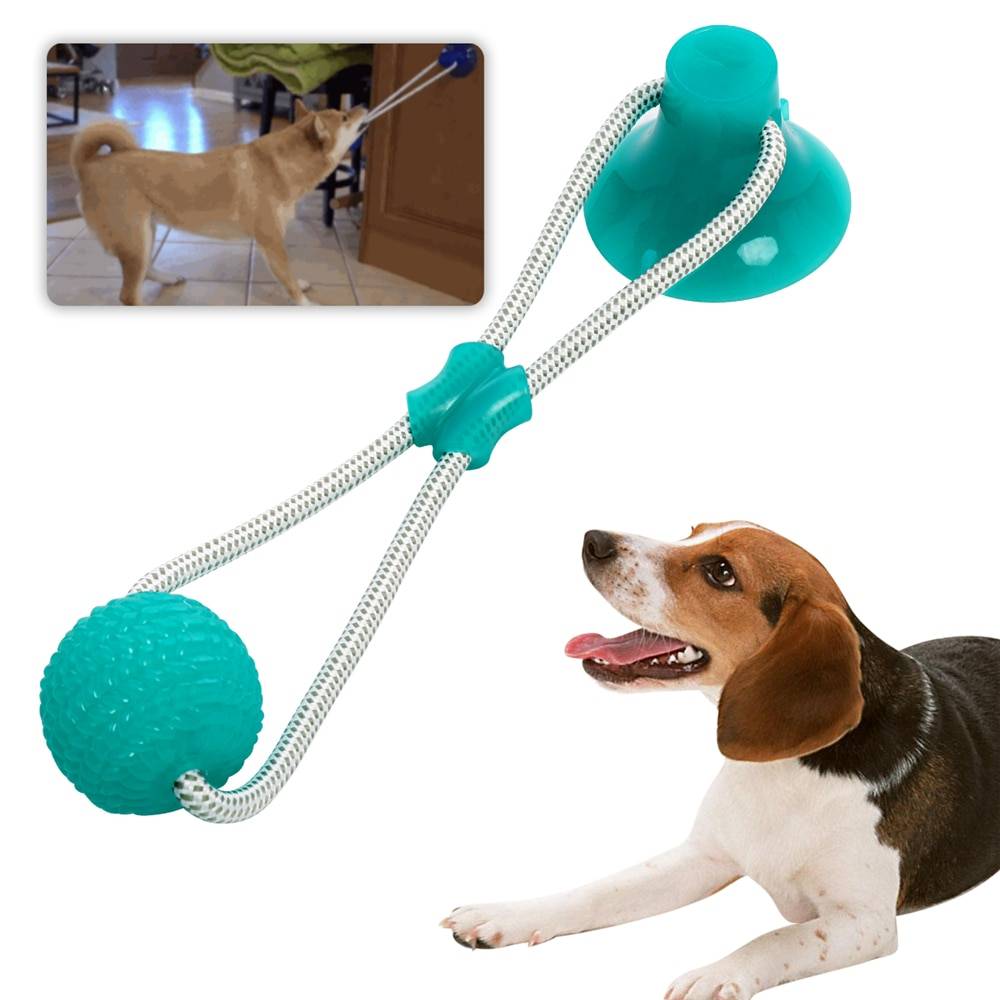 Multifunctional Cleaning Teeth Toy Cats & Dogs Dog Toys cb5feb1b7314637725a2e7: Blue|Green|Rose