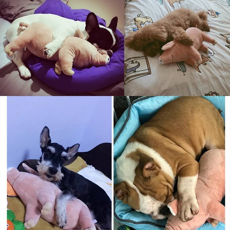 Warm and Soft Pig Shaped Toys for Dogs for Sleeping Cats & Dogs Dog Toys cb5feb1b7314637725a2e7: Pink