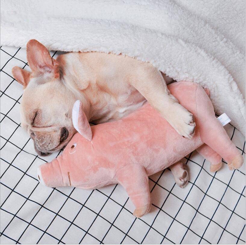 Warm and Soft Pig Shaped Toys for Dogs for Sleeping Cats & Dogs Dog Toys cb5feb1b7314637725a2e7: Pink