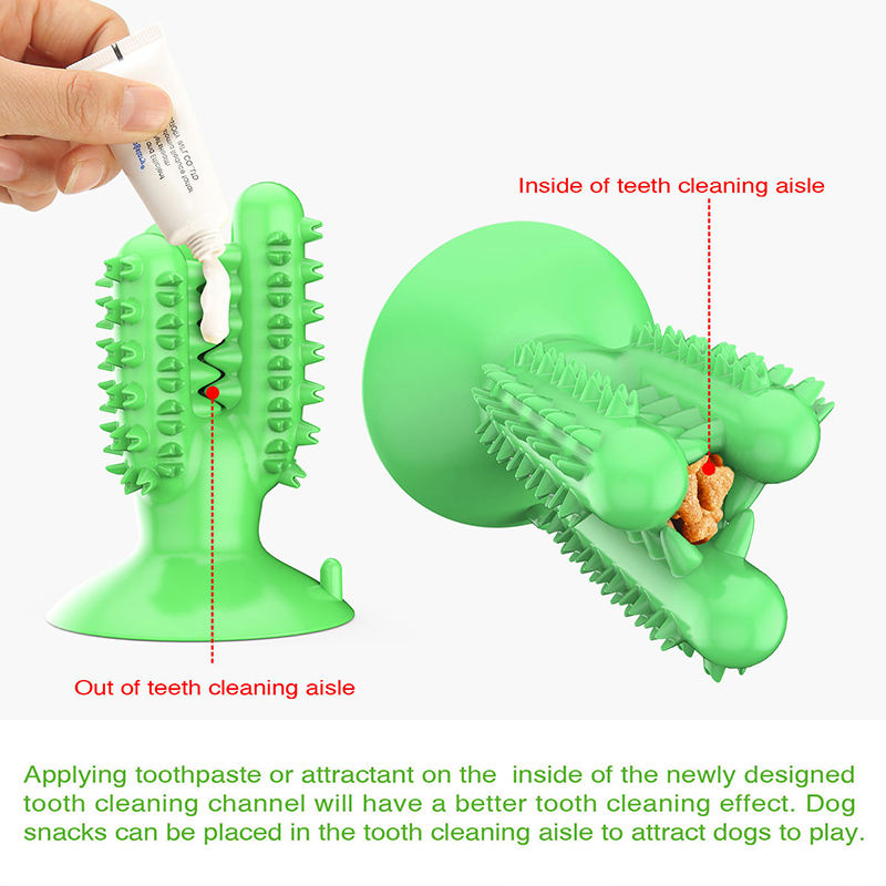 Chewing Toothbrush Toy for Dogs