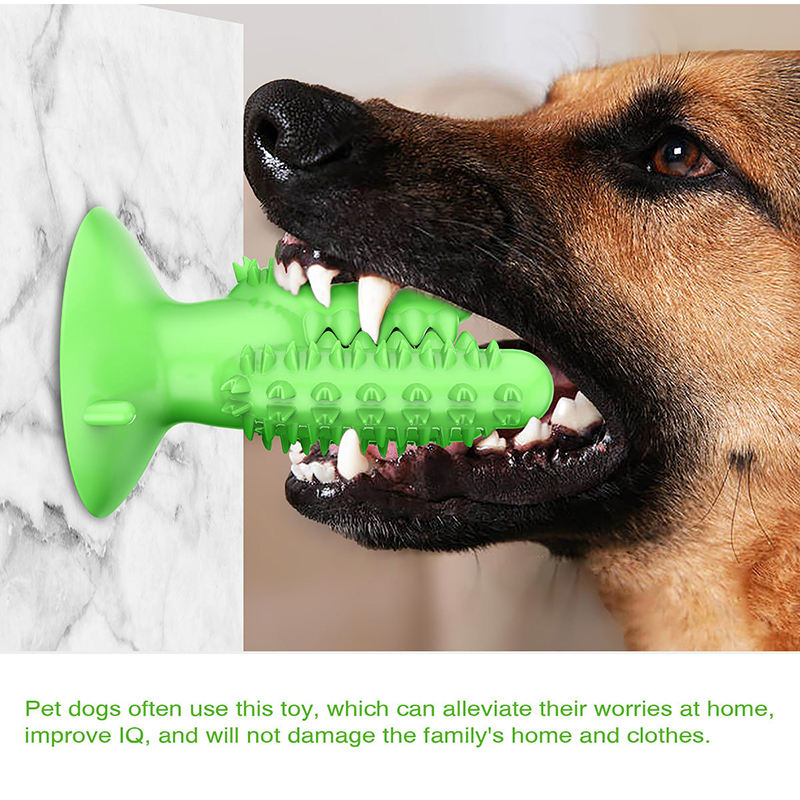 Chewing Toothbrush Toy for Dogs
