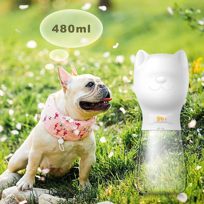 Dog Feeding Water Bottles for Outdoor Use Best Sellers Cats & Dogs Pet Feeding Supplies cb5feb1b7314637725a2e7: Black|Pink|Royal Blue|Turquoise|White