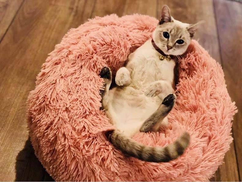 Pet's Round Shaped Fluffy Bed Best Sellers Cats & Dogs Pet Beds, Mats & Houses cb5feb1b7314637725a2e7: Beige|Beige yellow|Blue|Dark coffee|Gray|Light coffee|Light grey|Pink|Purple|Red|Rose|White