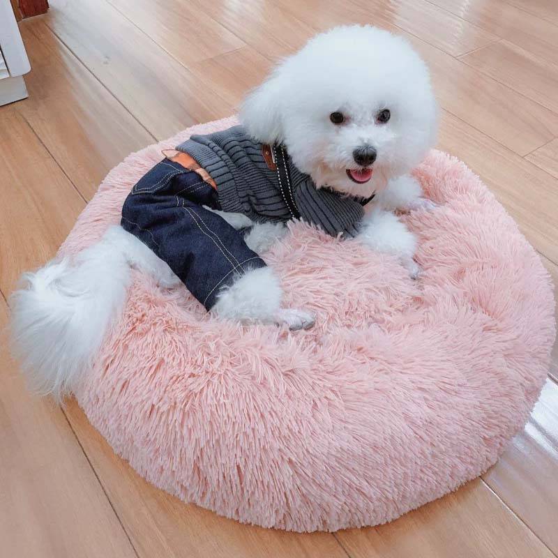 Pet's Round Shaped Fluffy Bed Best Sellers Cats & Dogs Pet Beds, Mats & Houses cb5feb1b7314637725a2e7: Beige|Beige yellow|Blue|Dark coffee|Gray|Light coffee|Light grey|Pink|Purple|Red|Rose|White